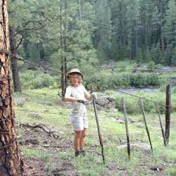 Girl with barbed wire fence photo