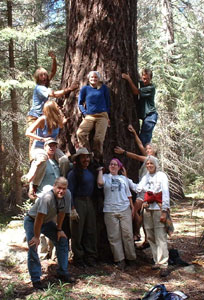 Group at ponderosa pine photo