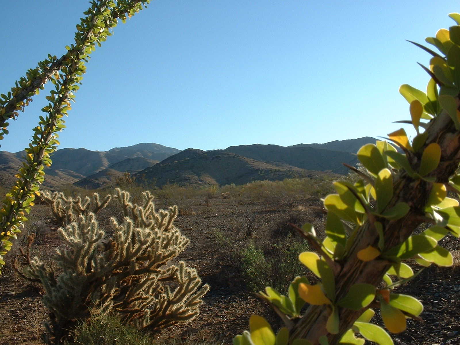 Mojave Mountains. Photo by Jay Krienitz. 