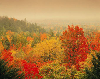 Maple trees set New England hills afire. Photo courtesy of Clean Air-Cool Planet. 