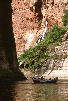 Wilderness is one of several alternatives the park must consider for river management. 